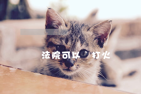 進法院可以帶打火機嗎