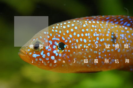 進監(jiān)獄期間信用卡逾期(在監(jiān)獄服刑信用卡逾期怎么辦)
