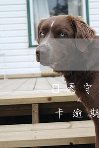 進看守所信用卡逾期怎么辦(因進看守所信用卡逾期)