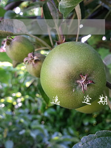 逸貸逾期有什么影響 貸款逾期影響什么