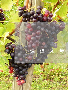逼迫父母要离婚怎么办