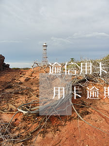 逾信用卡逾期單子狀態(tài)查詢(逾信用卡逾期單子狀態(tài)查詢)