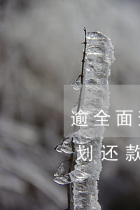 逾全面逾期怎么规划还款(逾全面逾期怎么规划还款)