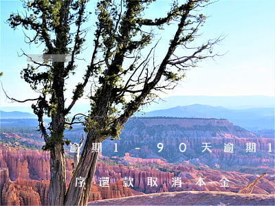 逾期1-90天 逾期1-90天 按照什么順序還款取消本金