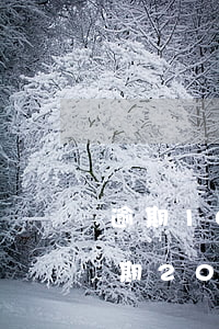 逾期1000一般會(huì)被起訴嗎(逾期2000塊會(huì)起訴嗎)