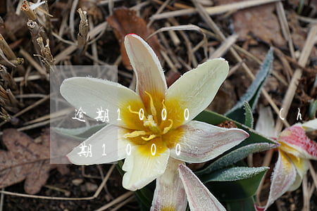 逾期1000塊錢會(huì)被起訴嗎（逾期1000塊）