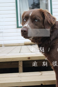 逾期1000多的花唄(花唄1000多沒還逾期很久了會怎么樣?)
