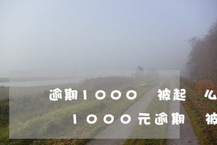 逾期1000會被起訴么-網(wǎng)貸1000元逾期會被起訴嗎