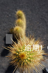 逾期1000會起訴嗎