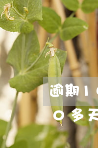 逾期100多天收到彩信律師函-逾期100多天收到彩信律師函怎么辦