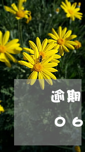 逾期1069開頭的短信說要上門-逾期1069開頭的短信說要上門核實(shí)本人情況是真的么