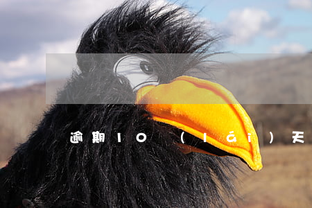 逾期10來(lái)天銀行起訴我