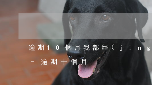 逾期10個月我都經(jīng)歷了什么-逾期十個月