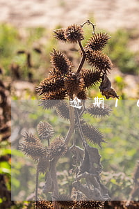 逾期10天上征信嗎（逾期10天上征信么）
