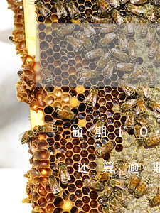 逾期10天可以协商还款吗(逾期后协商还款,还算逾期吗)