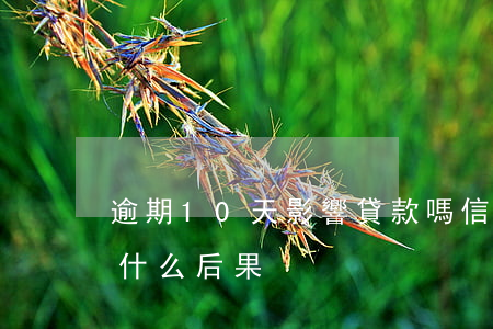 逾期10天影響貸款嗎(信用貸款逾期十天有什么后果)