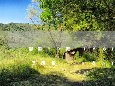 逾期10天發(fā)律師函(逾期律師函來了后果嚴(yán)重嗎)