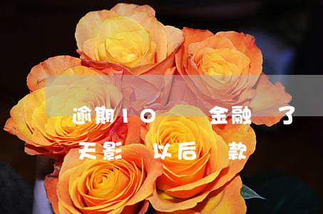 逾期10寶馬金融過了(寶馬金融車貸逾期6天影響以后貸款嗎)