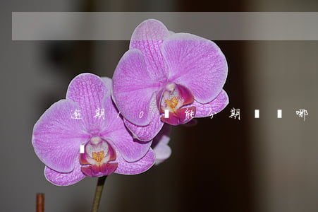 逾期10萬能分期還嗎(哪里能借10萬分期還)