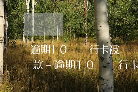 逾期10萬銀行卡被凍結(jié)怎么還款-逾期10萬銀行卡被凍結(jié)怎么還款呢