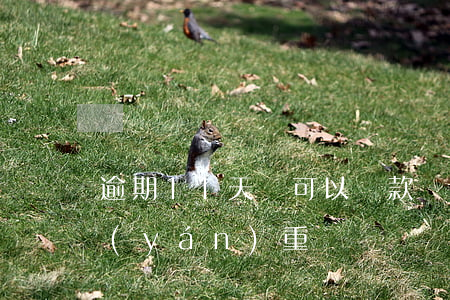 逾期11天還可以貸款嗎(貸款逾期十幾天嚴(yán)重嗎)