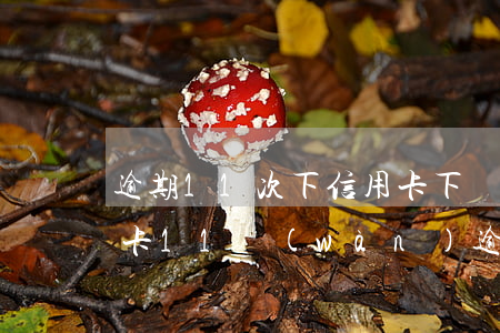 逾期11次下信用卡下來(lái)了(信用卡11萬(wàn)逾期三個(gè)月會(huì)有什么后果)