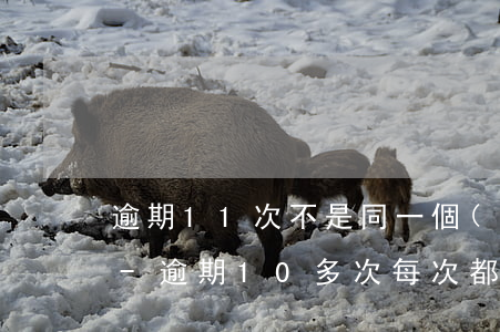 逾期11次不是同一個(gè)月同一張卡-逾期10多次 每次都是一個(gè)月