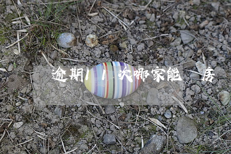 逾期11次哪家能貸房貸(十次逾期可以做房貸嗎)