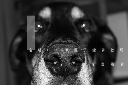 逾期11筆還了能貸款嗎(逾期13次已經(jīng)還清還能貸款嗎)