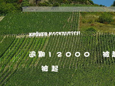 逾期12000會被起訴嗎(逾期12000會被起訴嗎)