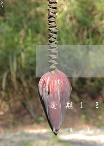 逾期1200多久起訴-逾期1500會(huì)起訴嗎