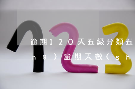 逾期120天五級分類(五級分類對應(yīng)逾期天數(shù))