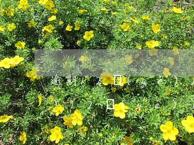 逾期12個(gè)月能貸款嗎(連續(xù)12個(gè)月處于逾期狀態(tài))