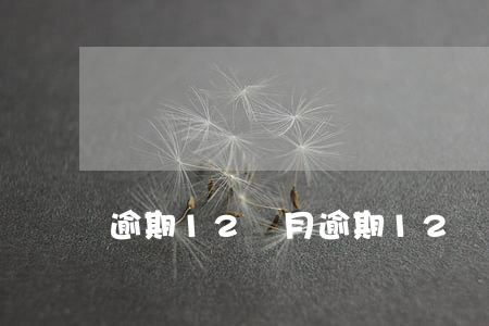 逾期12個月(逾期12個月什么意思)