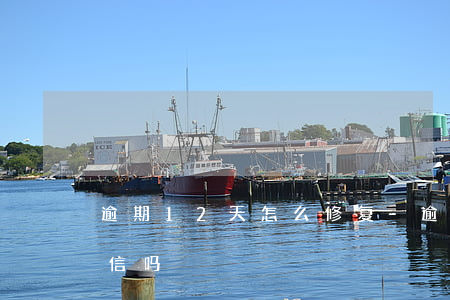 逾期12天怎么修复-逾期12天会影响征信吗