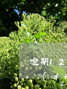 逾期12天怎么還款(網(wǎng)貸12點(diǎn)之后還款算逾期么)