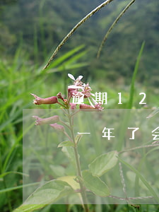 逾期12次能办信用卡吗 信用卡12万逾期一年了,会不会坐牢