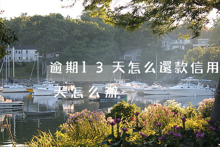 逾期13天怎么還款(信用卡還款逾期了15天怎么辦)