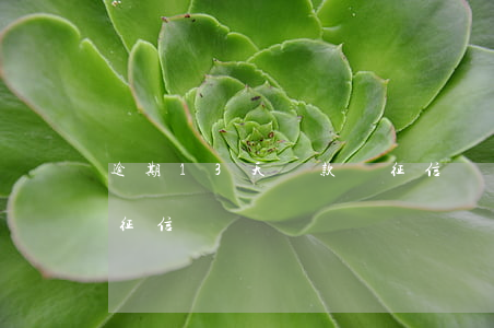 逾期13天還款毀征信嗎(逾期12天會影響征信嗎)