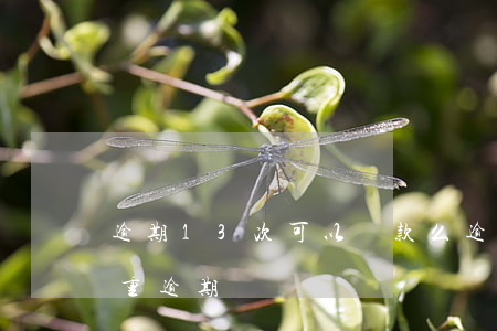 逾期13次可以貸款么(逾期13次是不是嚴重逾期)
