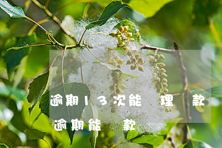 逾期13次能辦理貸款嗎(連續(xù)三次逾期能貸款嗎)