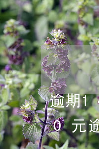 逾期14000會(huì)起訴嗎（9000元逾期被起訴）