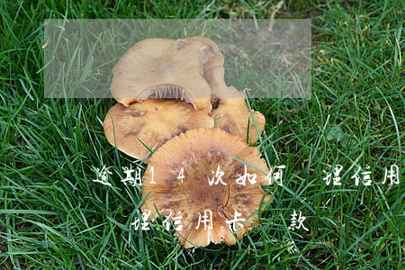 逾期14次，如何辦理信用卡 逾期14次,如何辦理信用卡還款