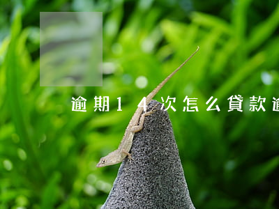 逾期14次怎么貸款(逾期4次貸款辦下來了)