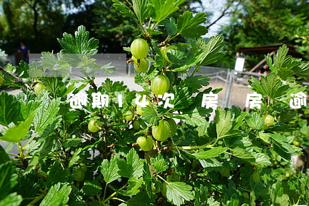 逾期14次辦房貸(房貸逾期13次)