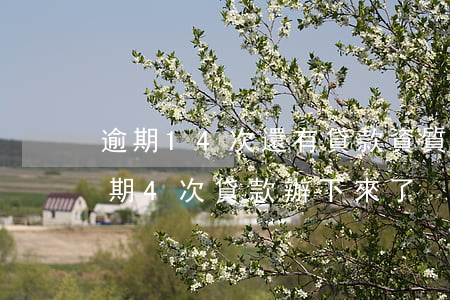 逾期14次還有貸款資質(zhì)沒有(逾期4次貸款辦下來了)
