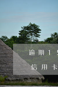 逾期150次怎么辦-逾期150次怎么辦信用卡