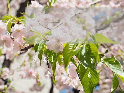 逾期15個(gè)月能辦信用卡嗎(信用卡5年內(nèi)有20個(gè)月逾期)