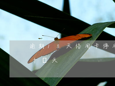 逾期15天信用卡停用了(信用卡沒注意逾期十幾天)