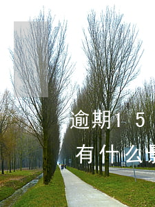 逾期15天去銀行貸款(銀行貸款逾期15天有什么影響)